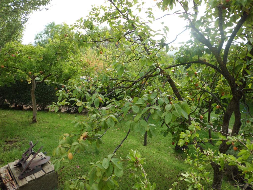 Apartamentos Baeza Rn エクステリア 写真